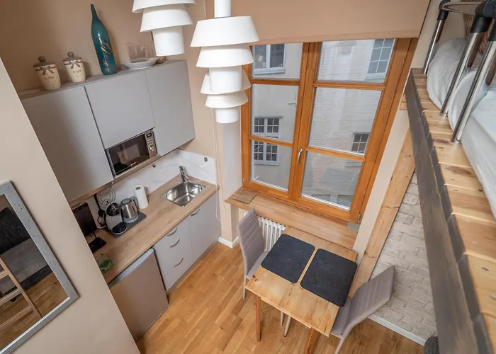 Charming In Old Town 公寓 里加