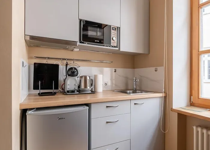 公寓 Charming In Old Town 里加